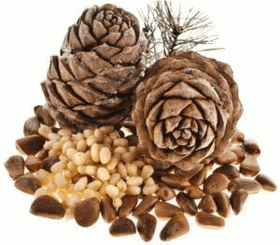 Potenza Products